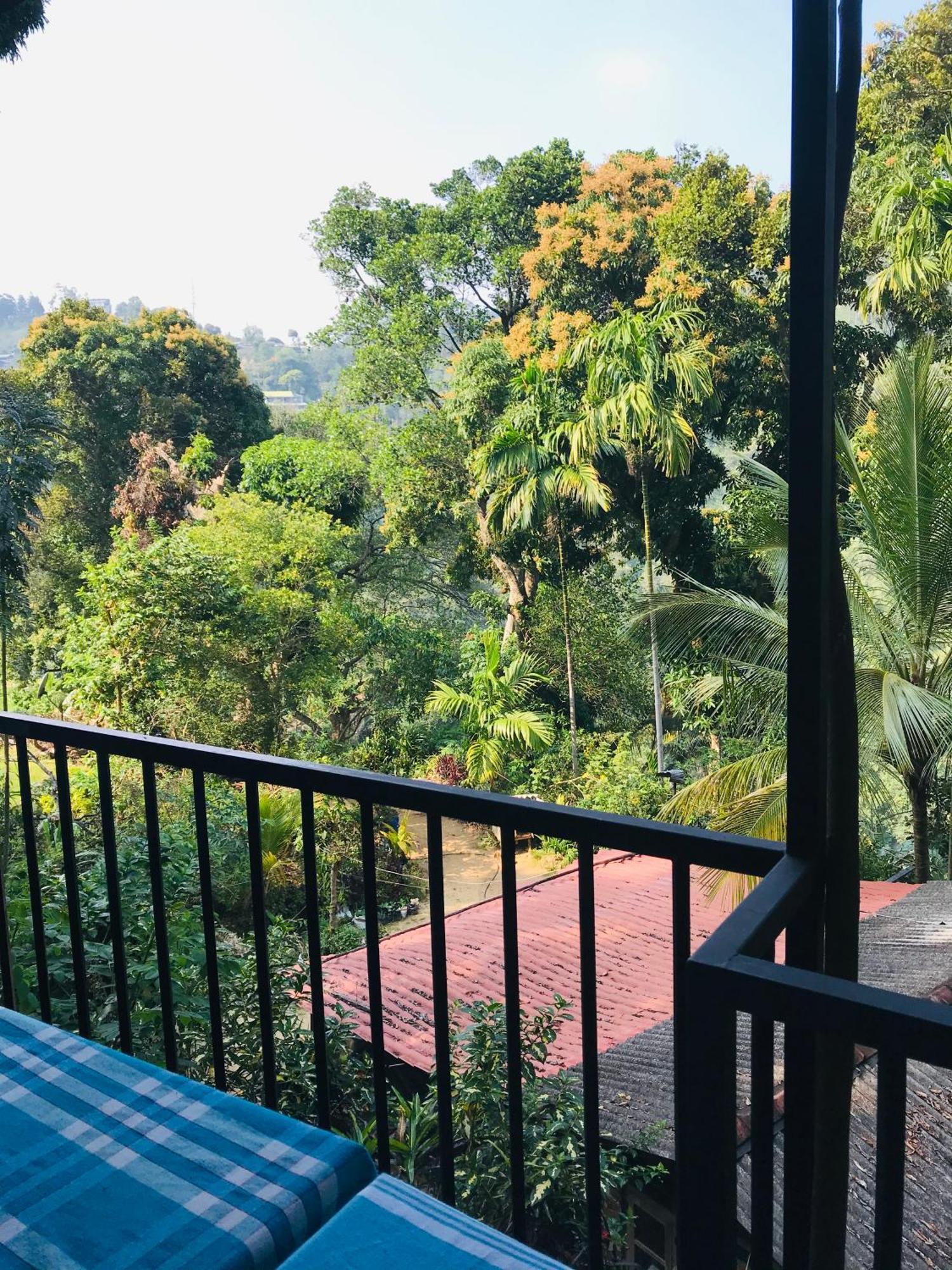 Forest Rawana Homestay Ella Ngoại thất bức ảnh
