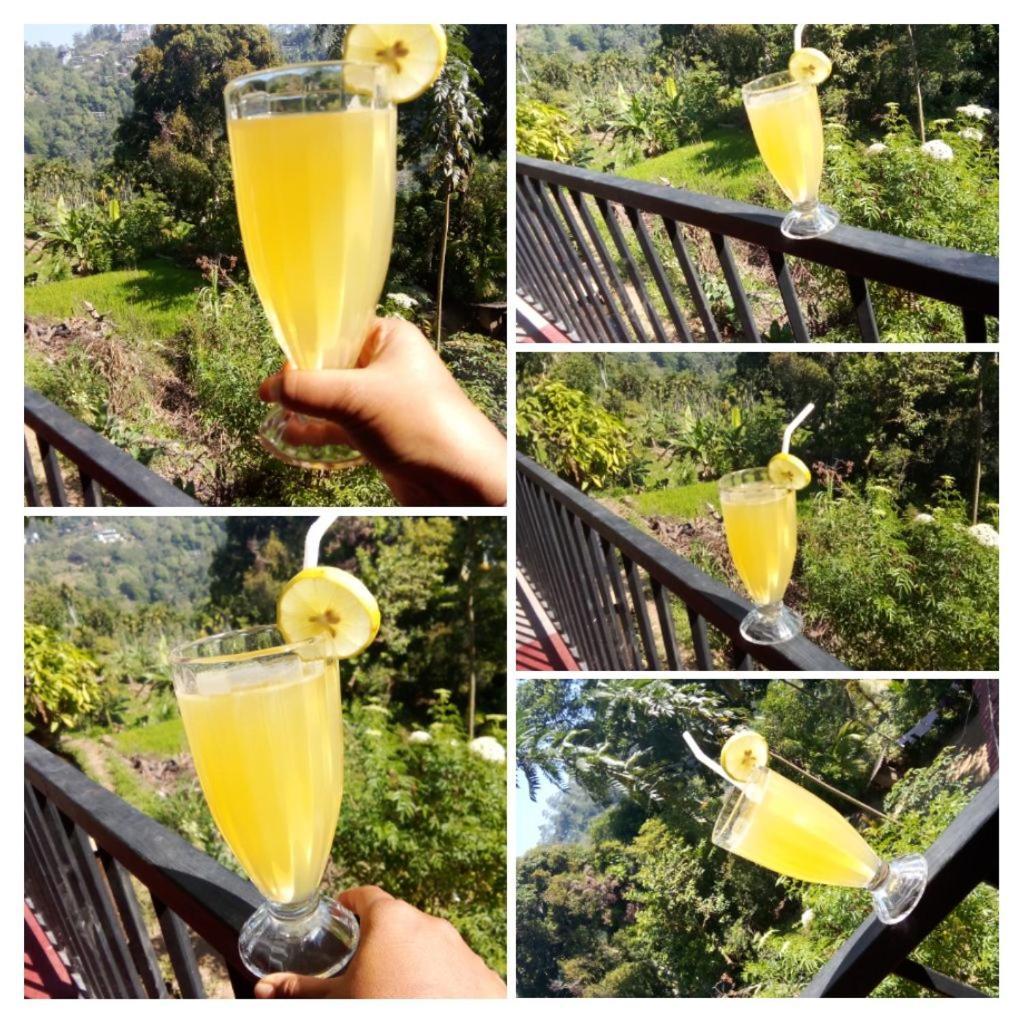 Forest Rawana Homestay Ella Ngoại thất bức ảnh