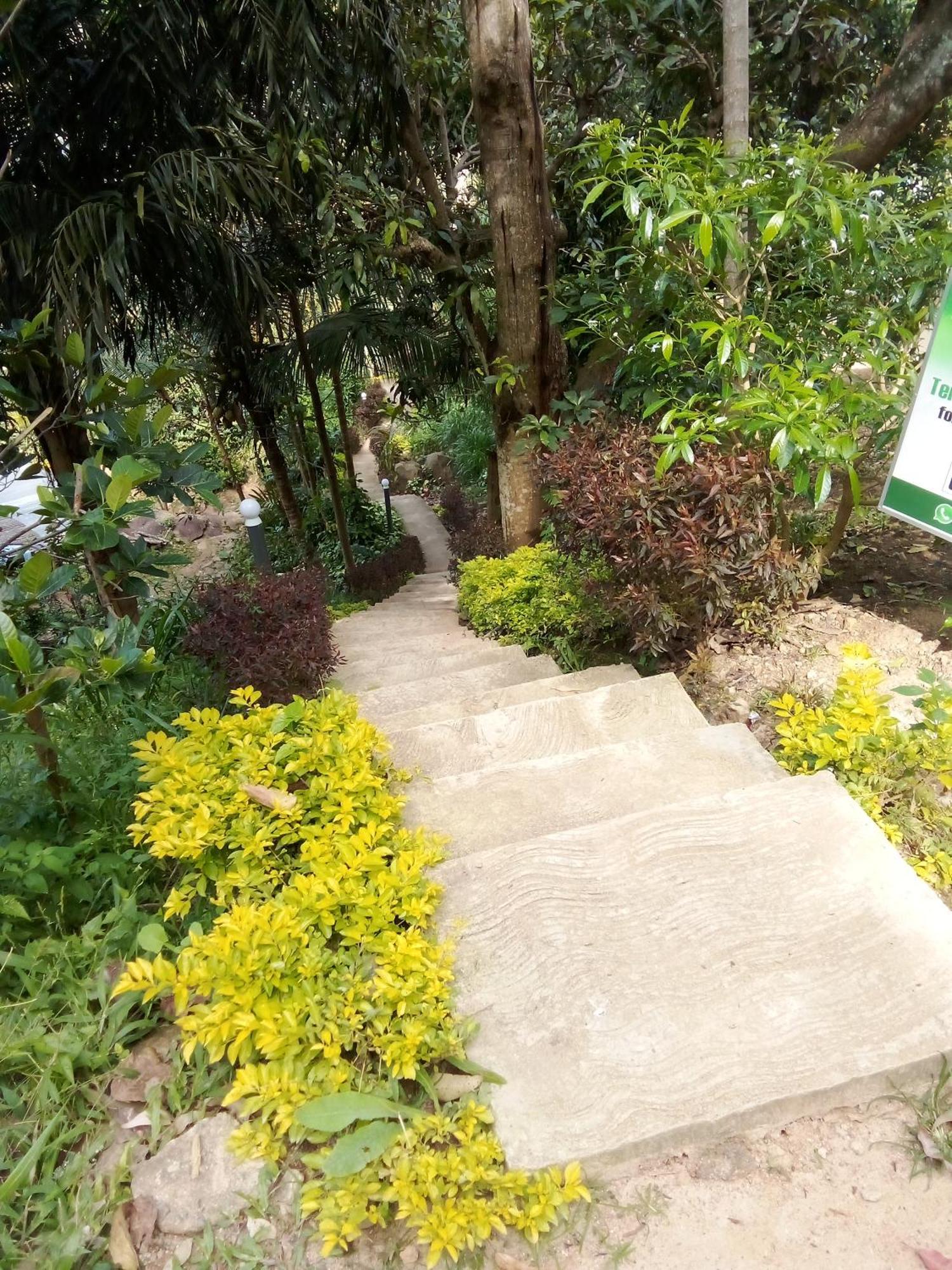 Forest Rawana Homestay Ella Ngoại thất bức ảnh